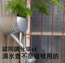 What a Wonderful Day _ Daydream sticker #15528268