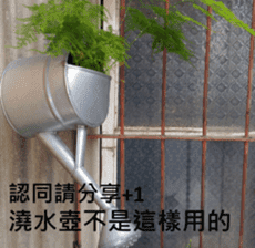 What a Wonderful Day _ Daydream sticker #15528268