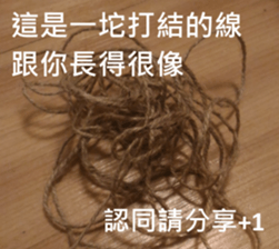 What a Wonderful Day _ Daydream sticker #15528269