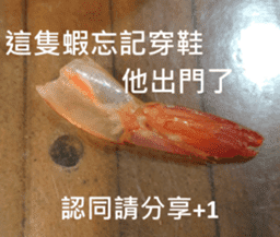 What a Wonderful Day _ Daydream sticker #15528270