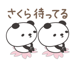 Cute panda sticker for Sakura sticker #15528515
