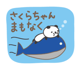 Cute panda sticker for Sakura sticker #15528523