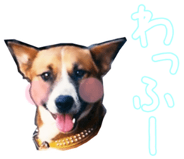 shi-chan&john sticker #15529878