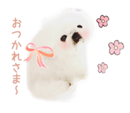 Vani Mellu Nana vol.1 sticker #15530724