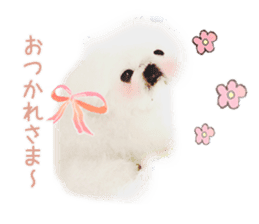 Vani Mellu Nana vol.1 sticker #15530724