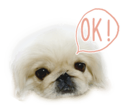 Vani Mellu Nana vol.1 sticker #15530726