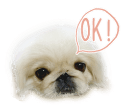 Vani Mellu Nana vol.1 sticker #15530726