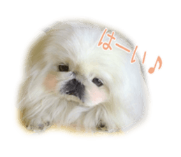 Vani Mellu Nana vol.1 sticker #15530727