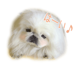 Vani Mellu Nana vol.1 sticker #15530727