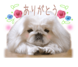 Vani Mellu Nana vol.1 sticker #15530728