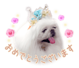 Vani Mellu Nana vol.1 sticker #15530729