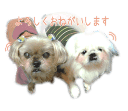 Vani Mellu Nana vol.1 sticker #15530730