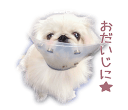 Vani Mellu Nana vol.1 sticker #15530731