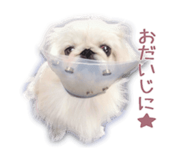 Vani Mellu Nana vol.1 sticker #15530731