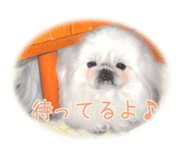 Vani Mellu Nana vol.1 sticker #15530732