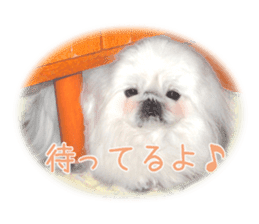 Vani Mellu Nana vol.1 sticker #15530732