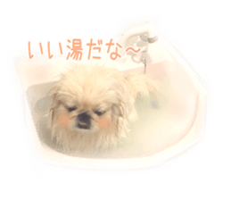 Vani Mellu Nana vol.1 sticker #15530733