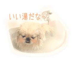 Vani Mellu Nana vol.1 sticker #15530733