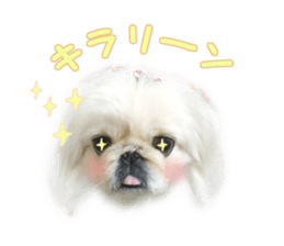 Vani Mellu Nana vol.1 sticker #15530734