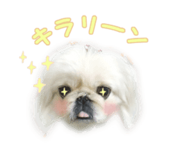 Vani Mellu Nana vol.1 sticker #15530734