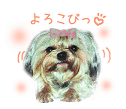 Vani Mellu Nana vol.1 sticker #15530735