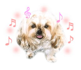 Vani Mellu Nana vol.1 sticker #15530736