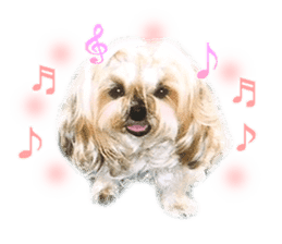 Vani Mellu Nana vol.1 sticker #15530736