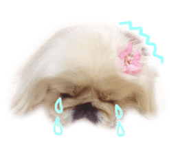 Vani Mellu Nana vol.1 sticker #15530738