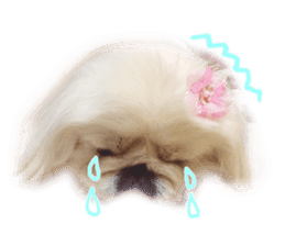 Vani Mellu Nana vol.1 sticker #15530738