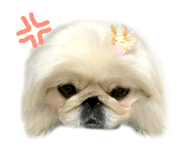 Vani Mellu Nana vol.1 sticker #15530739