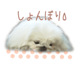 Vani Mellu Nana vol.1 sticker #15530740