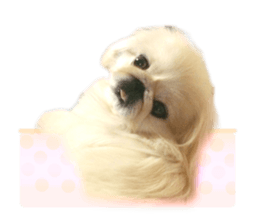 Vani Mellu Nana vol.1 sticker #15530742