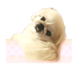 Vani Mellu Nana vol.1 sticker #15530742