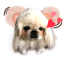 Vani Mellu Nana vol.1 sticker #15530743