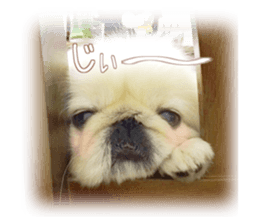 Vani Mellu Nana vol.1 sticker #15530744