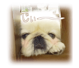 Vani Mellu Nana vol.1 sticker #15530744