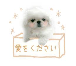 Vani Mellu Nana vol.1 sticker #15530745