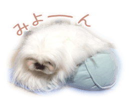 Vani Mellu Nana vol.1 sticker #15530746