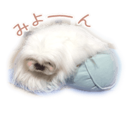 Vani Mellu Nana vol.1 sticker #15530746