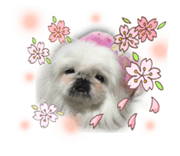 Vani Mellu Nana vol.1 sticker #15530748