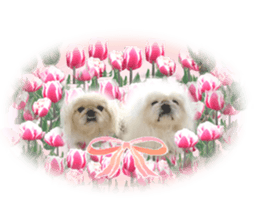 Vani Mellu Nana vol.1 sticker #15530749