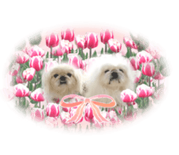 Vani Mellu Nana vol.1 sticker #15530749