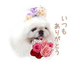 Vani Mellu Nana vol.1 sticker #15530750