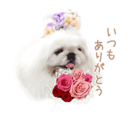 Vani Mellu Nana vol.1 sticker #15530750