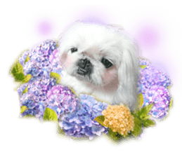 Vani Mellu Nana vol.1 sticker #15530751