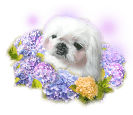 Vani Mellu Nana vol.1 sticker #15530751