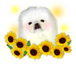 Vani Mellu Nana vol.1 sticker #15530752