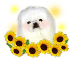 Vani Mellu Nana vol.1 sticker #15530752