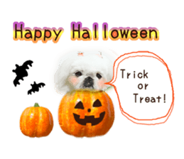 Vani Mellu Nana vol.1 sticker #15530753