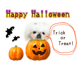 Vani Mellu Nana vol.1 sticker #15530753